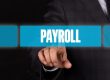 Why every north brisbane small business needs single touch payroll in 2019