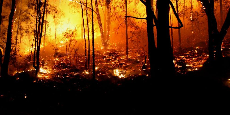 Are Bush Fire Donations Tax Deductible